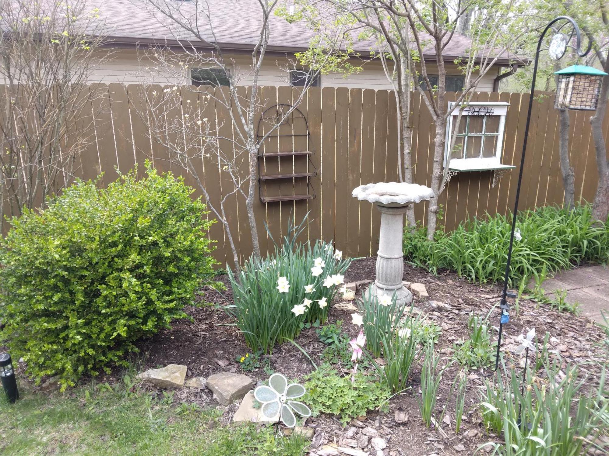 مبيت وإفطار ناشفيل Betty Lous Garden المظهر الخارجي الصورة